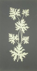 Hojas de Philipp Otto Runge